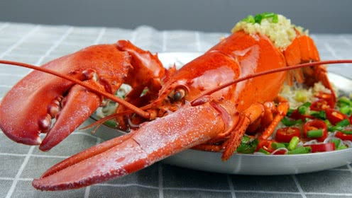 雄雄的個(gè)人頻道